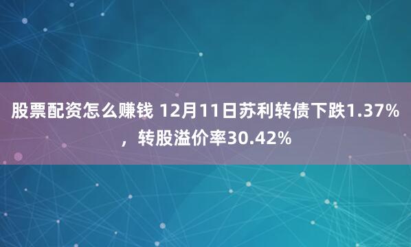 股票配资怎么赚钱 12月11日苏利转债下跌1.37%，转股溢价率30.42%