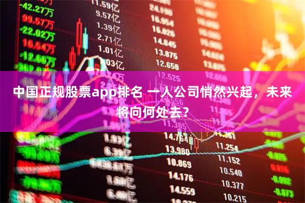 中国正规股票app排名 一人公司悄然兴起，未来将向何处去？